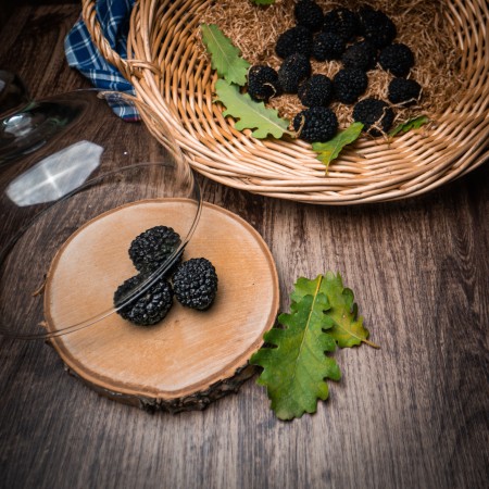 Tartufo Uncinato Tondello