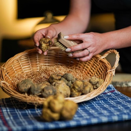 White Truffle - Tuber Magnatum Pico