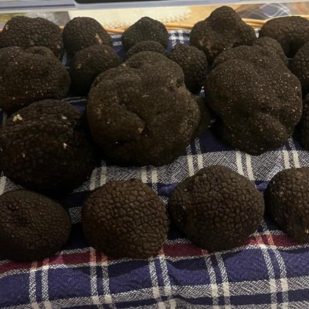 Black Truffle Extra - 1kg package