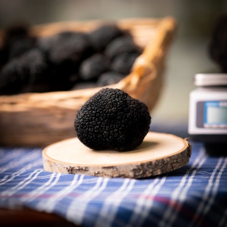 Truffe noire de premier choix - paquet de 1 kg