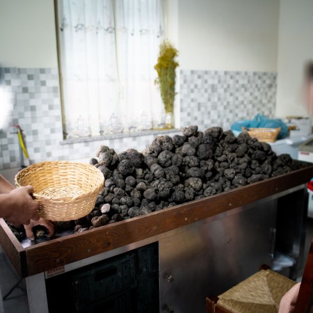 Tartufo Uncinato Prima Scelta