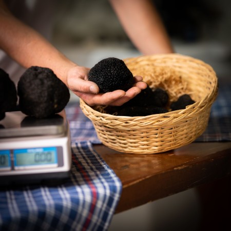 Truffe noire de premier choix - paquet de 1 kg