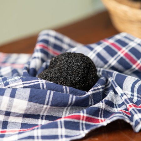 Truffe noire de premier choix - paquet de 1 kg