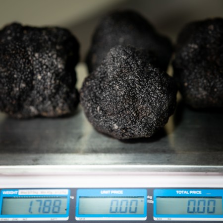 Truffe noire de premier choix - paquet de 1 kg