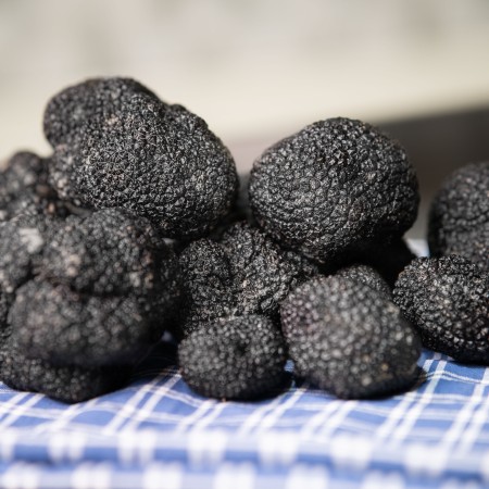 Truffe noire de premier choix - paquet de 1 kg