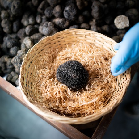 Black Truffle First Choice - 1kg package