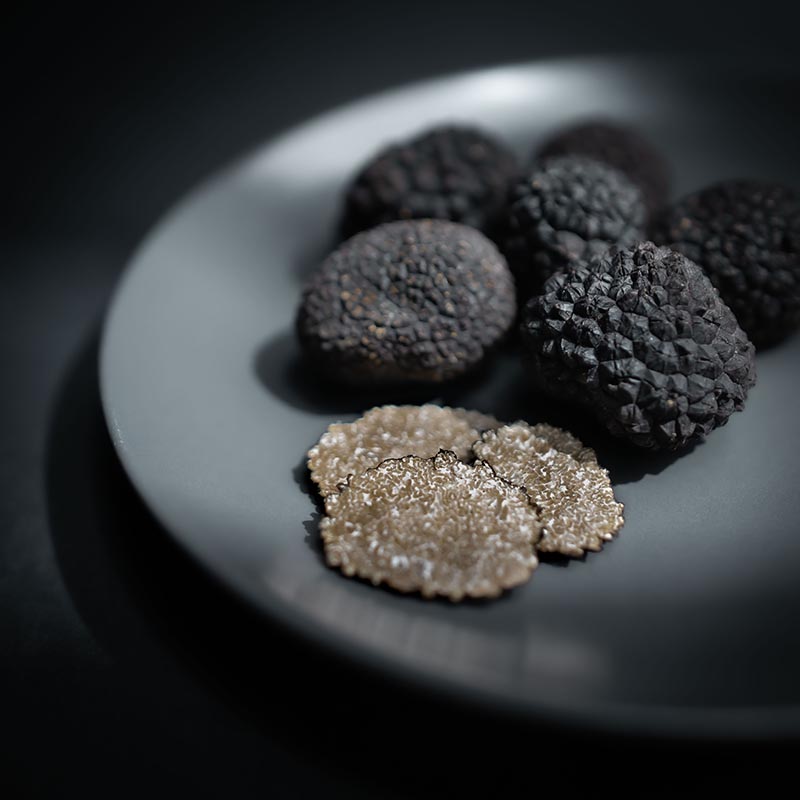 Tartufo Tondello Tondello Truffle